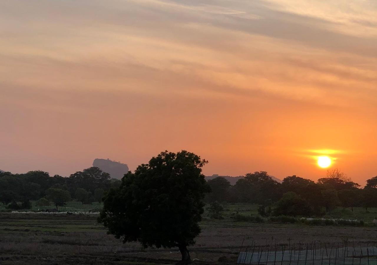 Atteriya Sigiriya Hotel Екстериор снимка